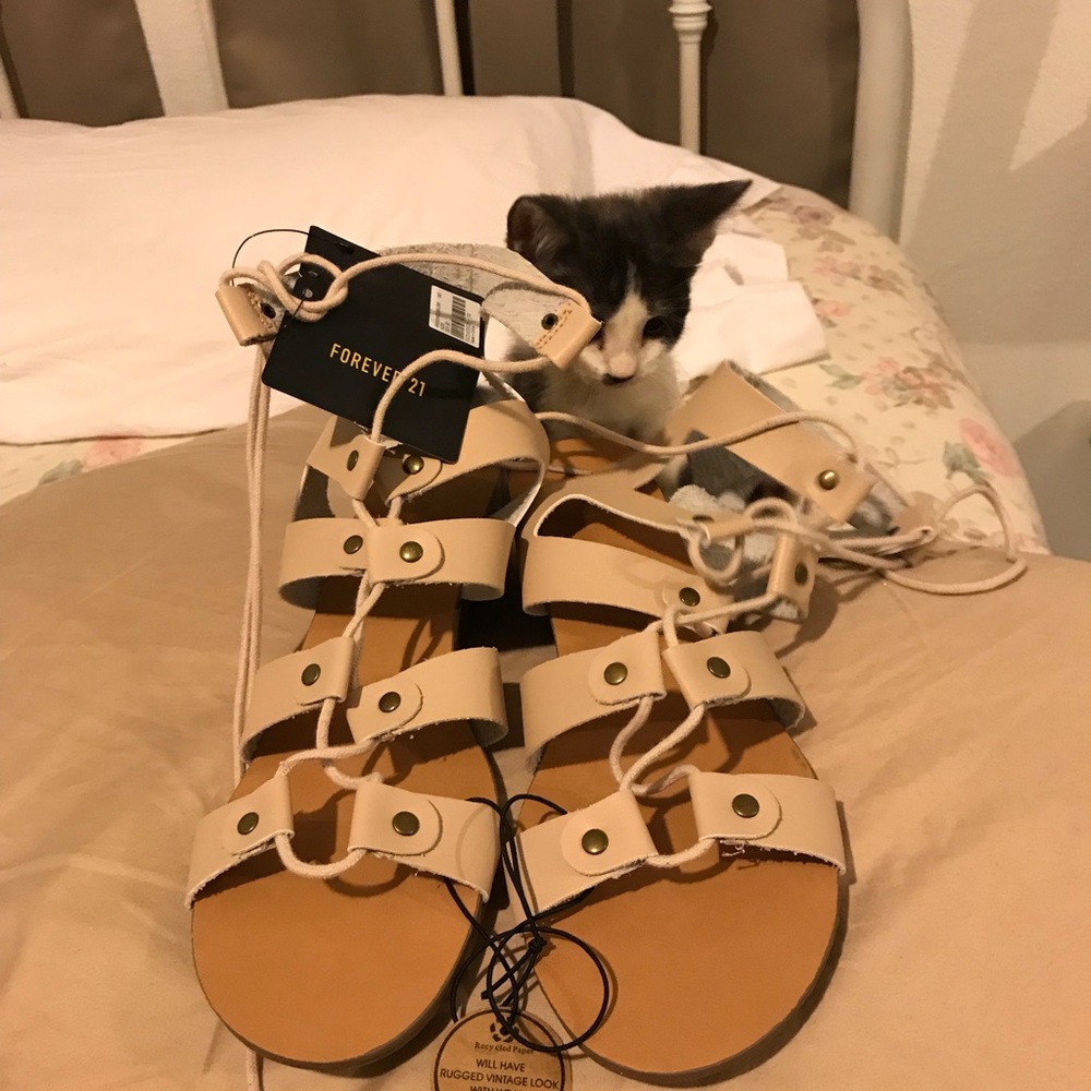 Gladiator sandals with small wedges